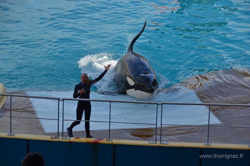 Marineland aout 2014 90.JPG - Marineland - Parc d'attractions aquatiques - Antibes - Août 2014